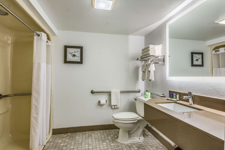 Bathroom 4, Sleep Inn Fort Mill near Carowinds Blvd, York