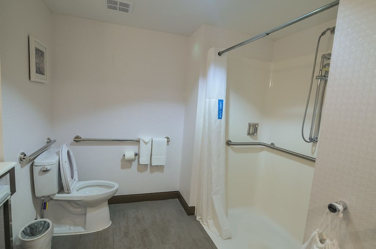 Bathroom 4, Hampton Inn Fort Payne, De Kalb