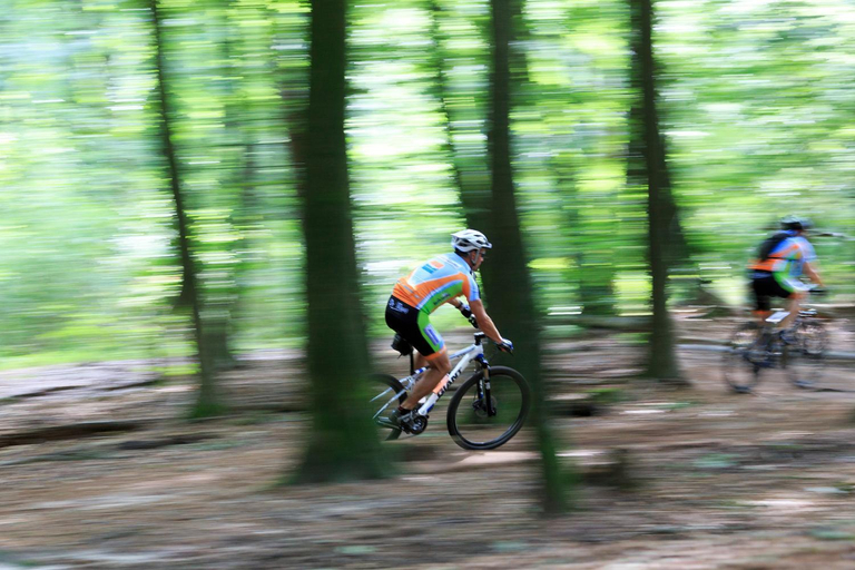 2, Chalet Op De Veluwe # Linde, Putten