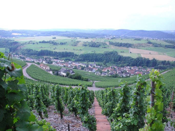 View from property 5, Holiday Apartment Magnolia, Trier-Saarburg