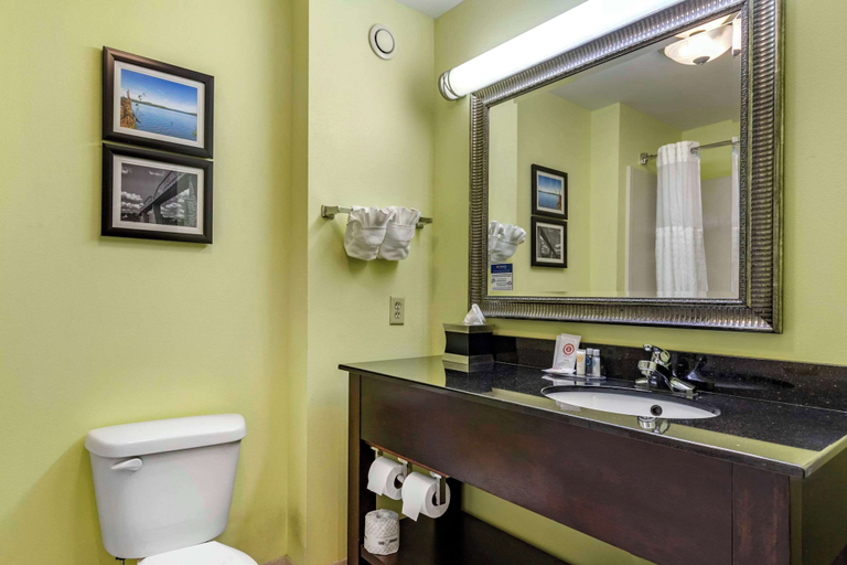 Bathroom 4, Comfort Inn Athens, McMinn