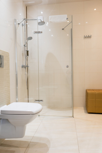 Bathroom 4, Hotel Court Wellness & Spa, Strzelce