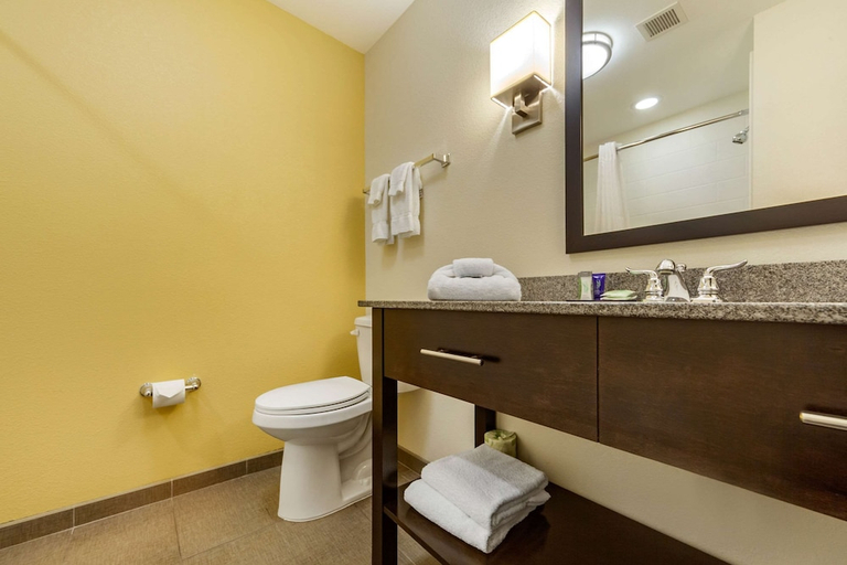 Bathroom 4, Sleep Inn & Suites Fargo, Cass