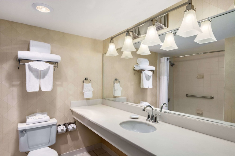 Bathroom 3, Wyndham Garden Dallas North, Dallas
