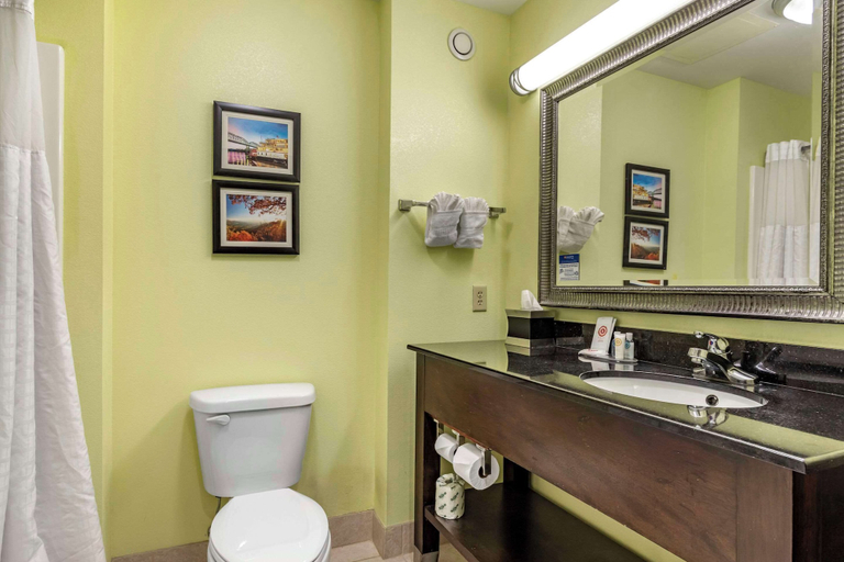 Bathroom 4, Comfort Inn Athens, McMinn
