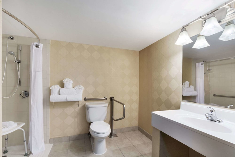 Bathroom 3, Wyndham Garden Dallas North, Dallas