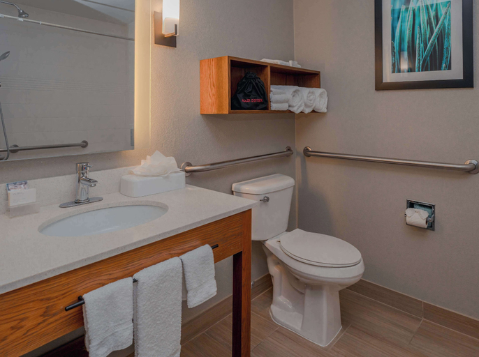 Bathroom 4, Homewood Suites by Hilton Ft. Worth-Bedford, Tarrant