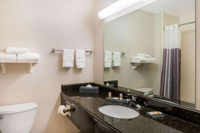 Bathroom 2, Stay Well Inn & Suites Fort Myers,FL, Lee
