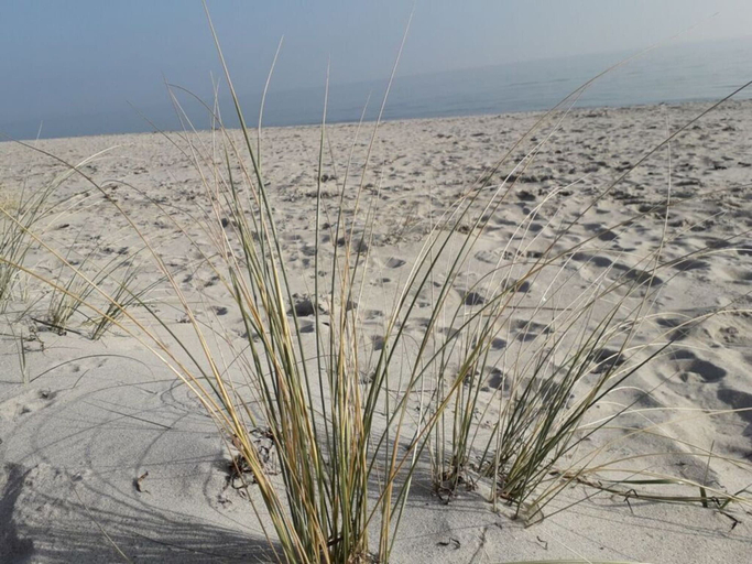 Beach 2, Chrissi's Baltic Sea Nest, Ostholstein