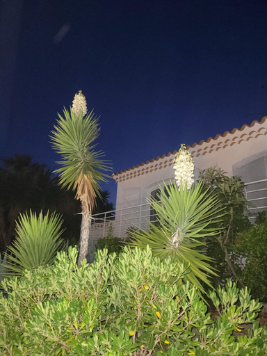 Others 2, VILLA RASOA, Hérault
