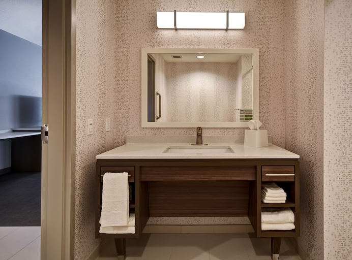 Bathroom 4, Home2 Suites By Hilton Eagan Minneapolis, Dakota