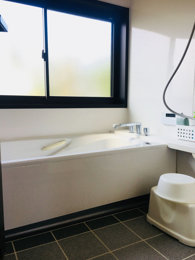 Bathroom 4, Shimantogawa no yado yuubetei, Shimanto City