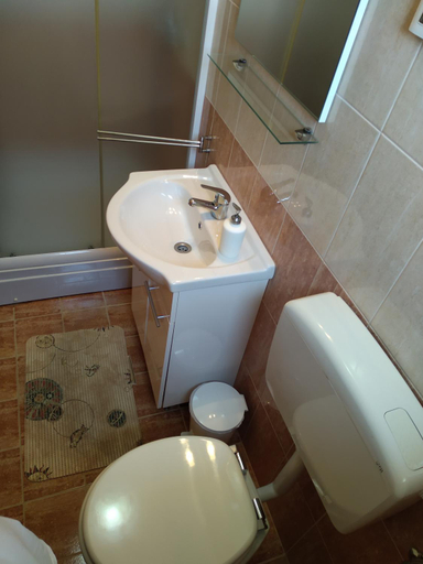 Bathroom 3, Apartments Palit, Lopar/Supetarska Draga