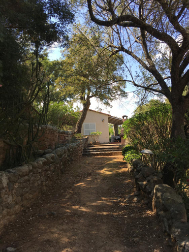 Others 5, Thalassa, Corse-du-Sud