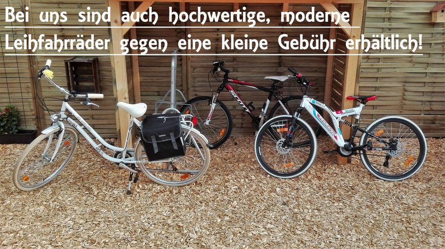 Sports and activities 4, Ferienwohnungen Paul und Dorothea, Gotha