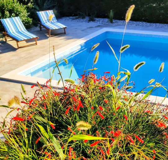 Surrounding environment, *****Pool house with beautiful seaview,big garden and old tavern*****, Rijeka
