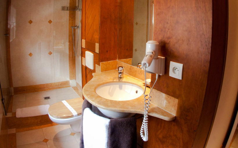 Bathroom, Logis Hotel Rest. Le Sapin Fleuri, Haute-Garonne