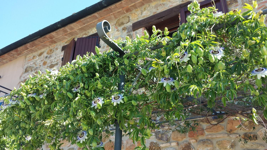 Agriturismo Podere San Lorenzo 1866, Grosseto