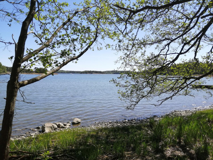 Others 5, Gyttja Vastergards, Finland Proper