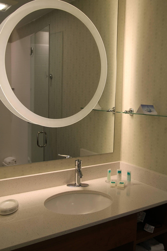 Bathroom 4, Springhill Suites By Marriott Grand Junction Downtown Historic Main St, Mesa