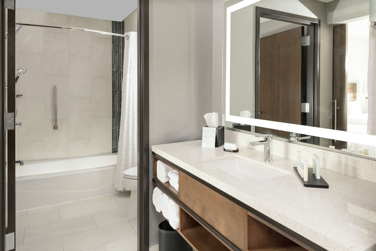 Bathroom 4, Embassy Suites by Hilton Grand Rapids Downtown,MI, Kent