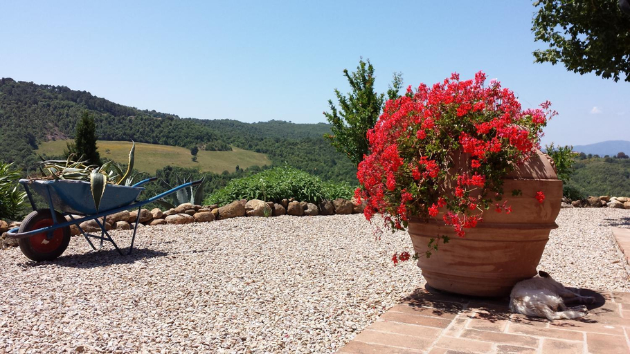 Facilities 2, Agriturismo Podere San Lorenzo 1866, Grosseto