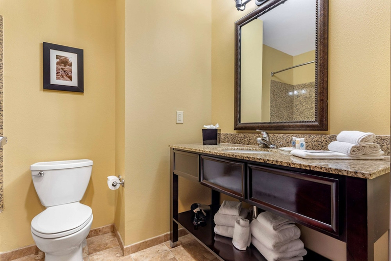 Bathroom 4, Comfort Suites Frisco, Collin