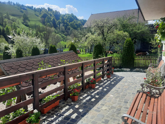Others 5, Vila Anto, Bran