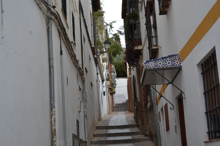 Exterior & Views 2, SUITE COMARES, Granada