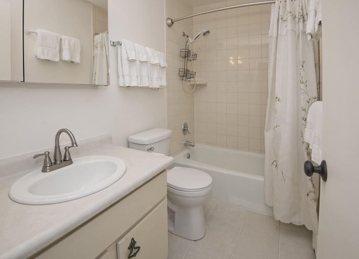 Bathroom 4, West Vail Riverfront Lodging, Colorado, Eagle