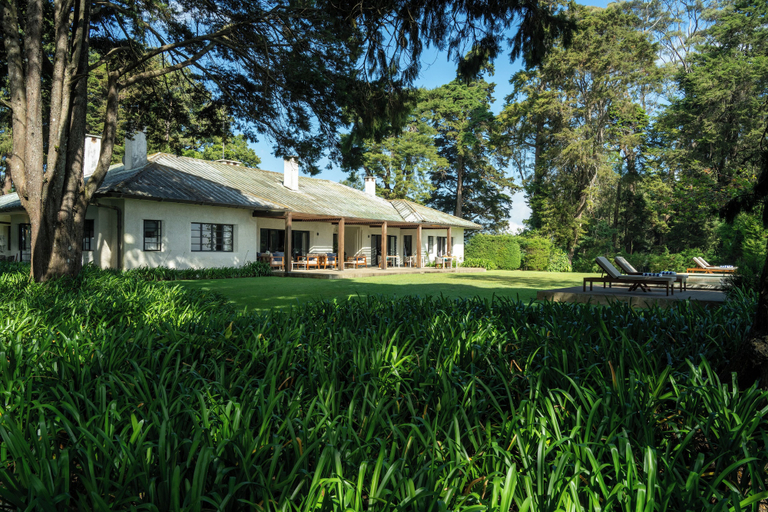 Exterior & Views 3, Goatfell, Walapane