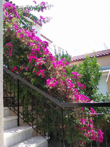 Others 3, Aegina's Flowers house, Attica