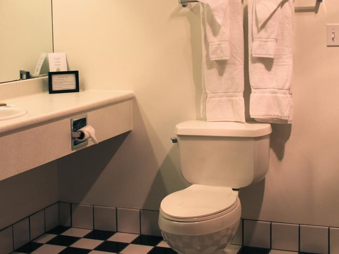 Bathroom 3, The Ennis Inn and Pub, Brown