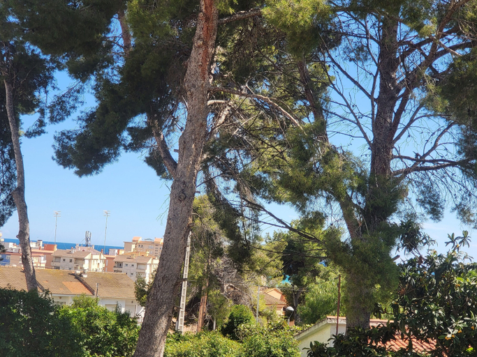 Exterior & Views, Segur Apartments Kandy, Tarragona