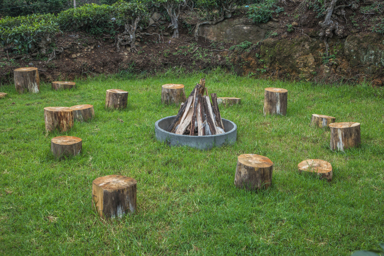 Others 5, Wattle Grove Resort, The Nilgiris
