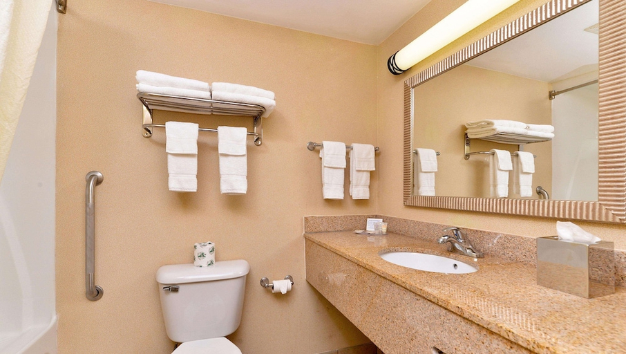 Bathroom, Executive Inn & Suites, Davidson