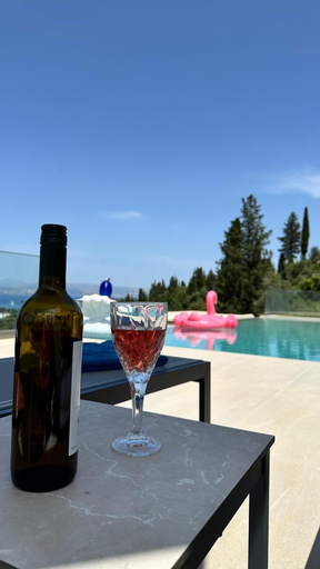 Food & Drinks, Villa Antonis, Ionian Islands