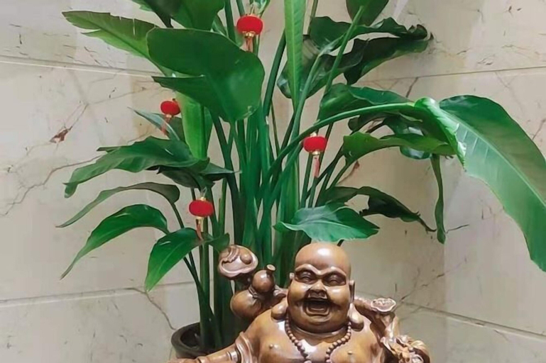 Others 5, Jinpin Feicui Hotel (Pingzhou Yuqijie Subway Station Branch Pingnan), Foshan