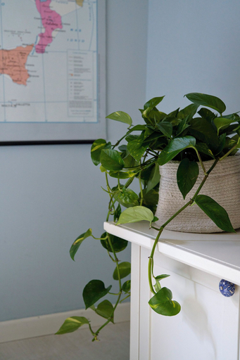 Interior detail 3, Blue Charm Florentine Apt by Oteego, Florence