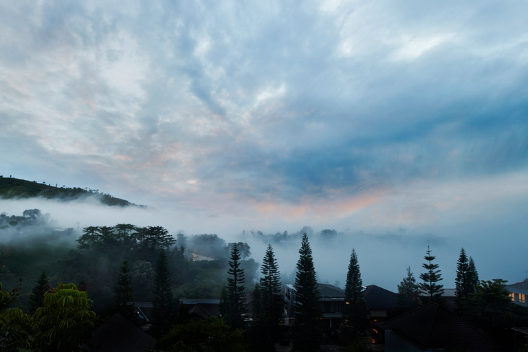 Scenery 21