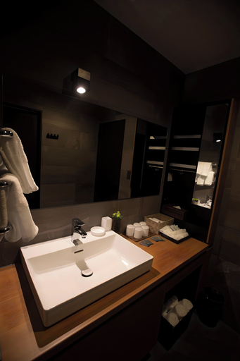 Bathroom 3, Hotel Sengokuhara533, Hakone