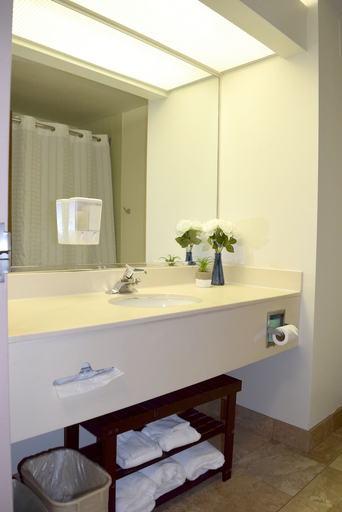Bathroom 2, HIGHLANDS INN LODGE FORMERLY HAMPTON INN HIGHLANDS, Macon