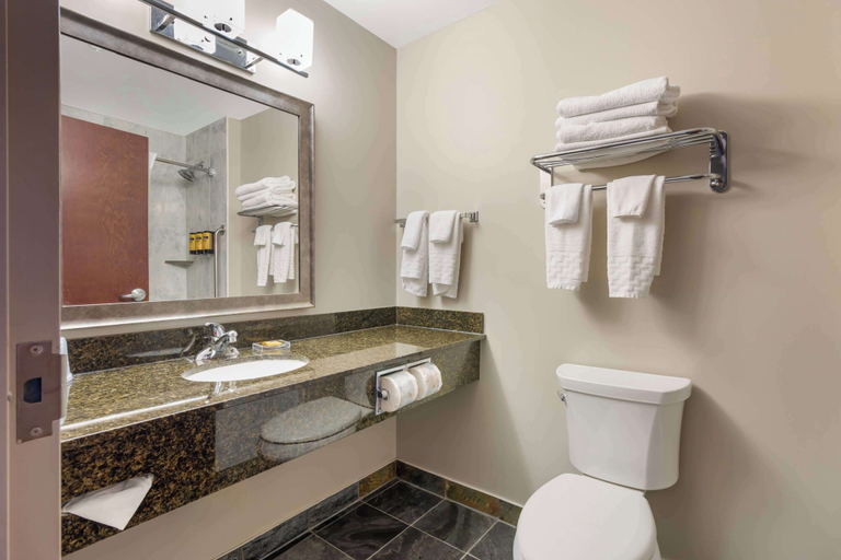 Bathroom 3, Best Western Plus Brandon Inn, Division No. 7