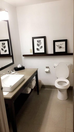 Bathroom 3, Country Inn & Suites by Radisson, Indianapolis Sou, Indianapolis