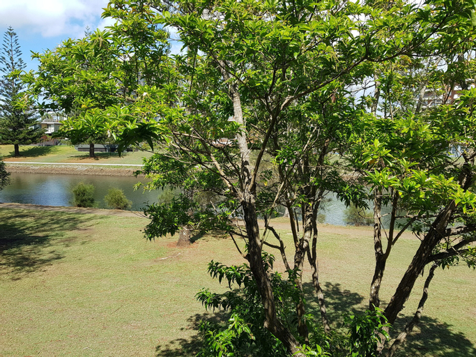 Scenery 14