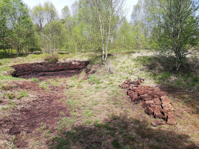 View from property 4, Escape in Hautes Fagnes, Liège
