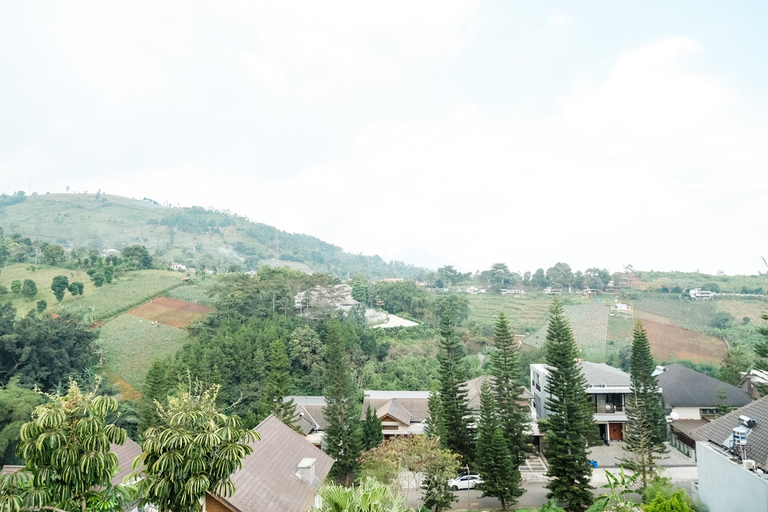 Scenery 19