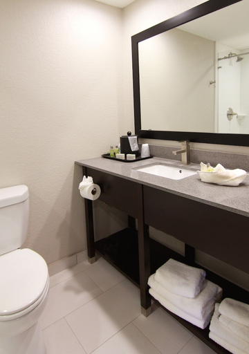Bathroom 4, The Hotel Hot Springs, Garland