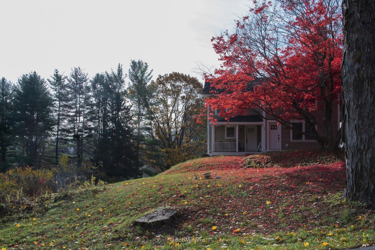 Restored 1881 Farm House, Berkshire