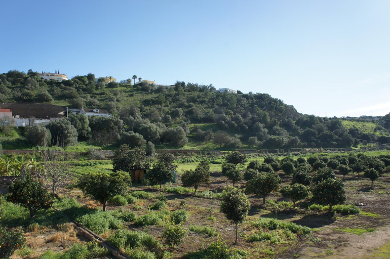 Others 5, Horta Grande, Silves